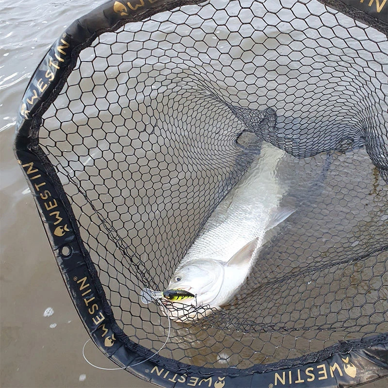 Westin W3 C&R Foldable Landing Net XXL